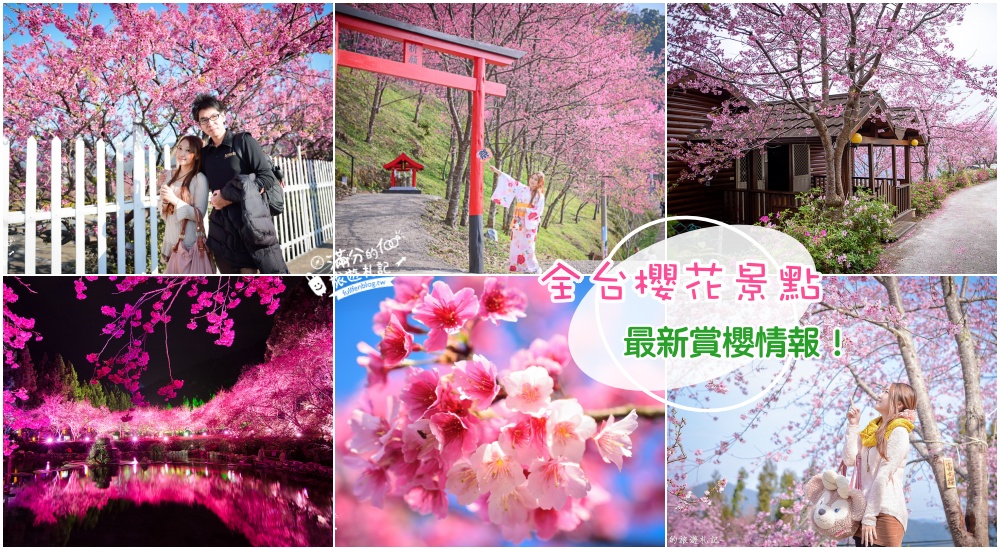 2022樂活公園櫻花季.夜櫻季|粉色風暴來襲～浪漫寒櫻綻放中！