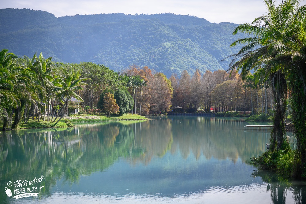 花蓮景點|雲山水植物農場|彩虹椅.摩艾石像.跳石瀑布|比仙境更夢幻，東台灣最美山光水色!