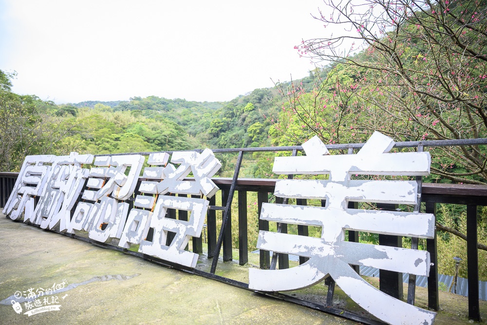 台北景點|陽明山野人花園|植物系咖啡館.台北下午茶|網美約會景點~森林裡的玻璃花屋!
