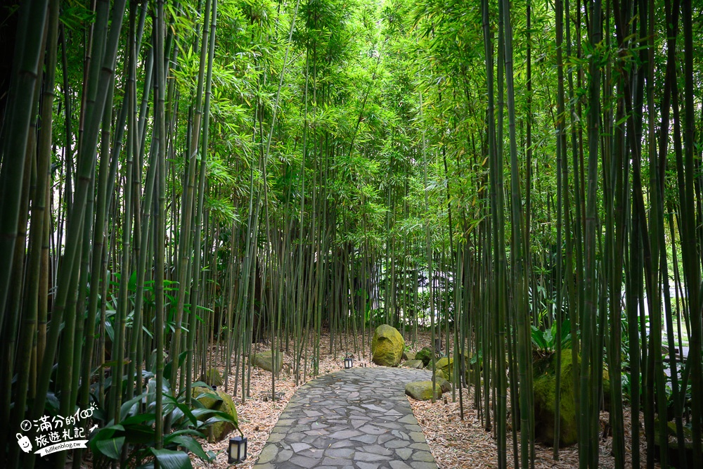 台北景點|豆留森林咖啡|陽明山庭院餐廳.昭和日式老宅|一秒到日本，走進竹林秘境!