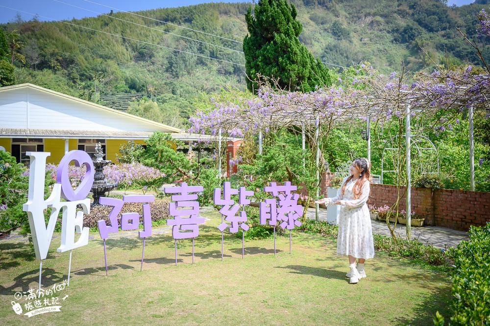 嘉義景點|阿喜紫藤|瑞里最美紫藤花園(需預約)，山城中的紫色仙境，被紫藤花給包圍了!