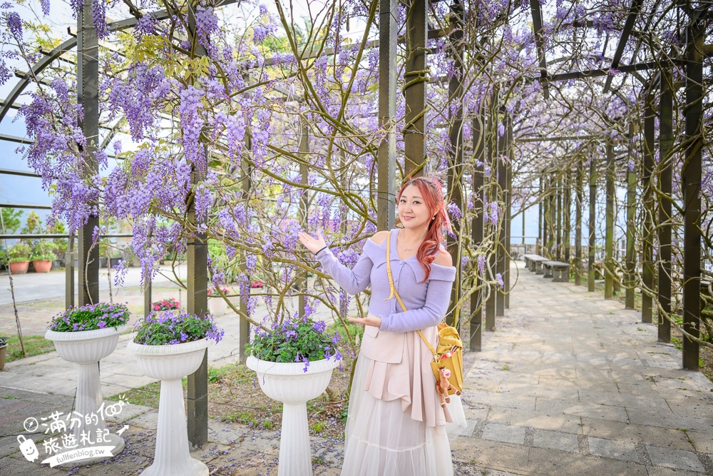 嘉義紫藤花推薦｜瑞里茶壺民宿紫藤花(免門票)紫藤隧道超夢幻~背景還是壯麗群山!