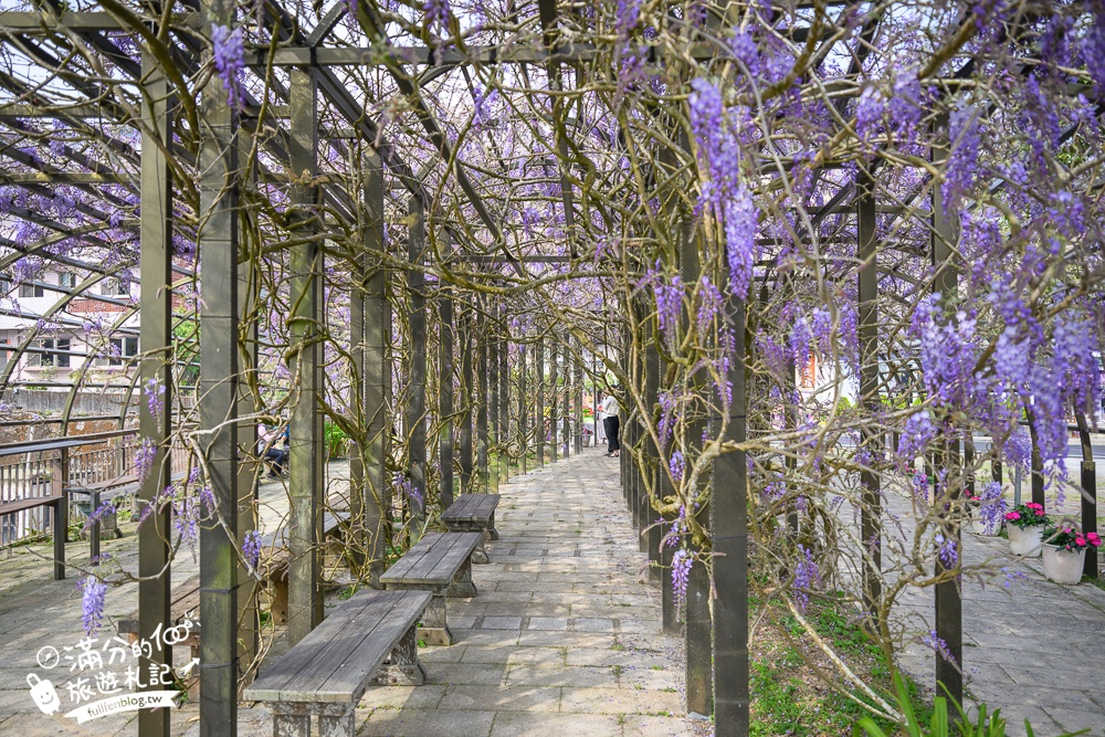 嘉義紫藤花推薦｜瑞里茶壺民宿紫藤花(免門票)紫藤隧道超夢幻~背景還是壯麗群山!
