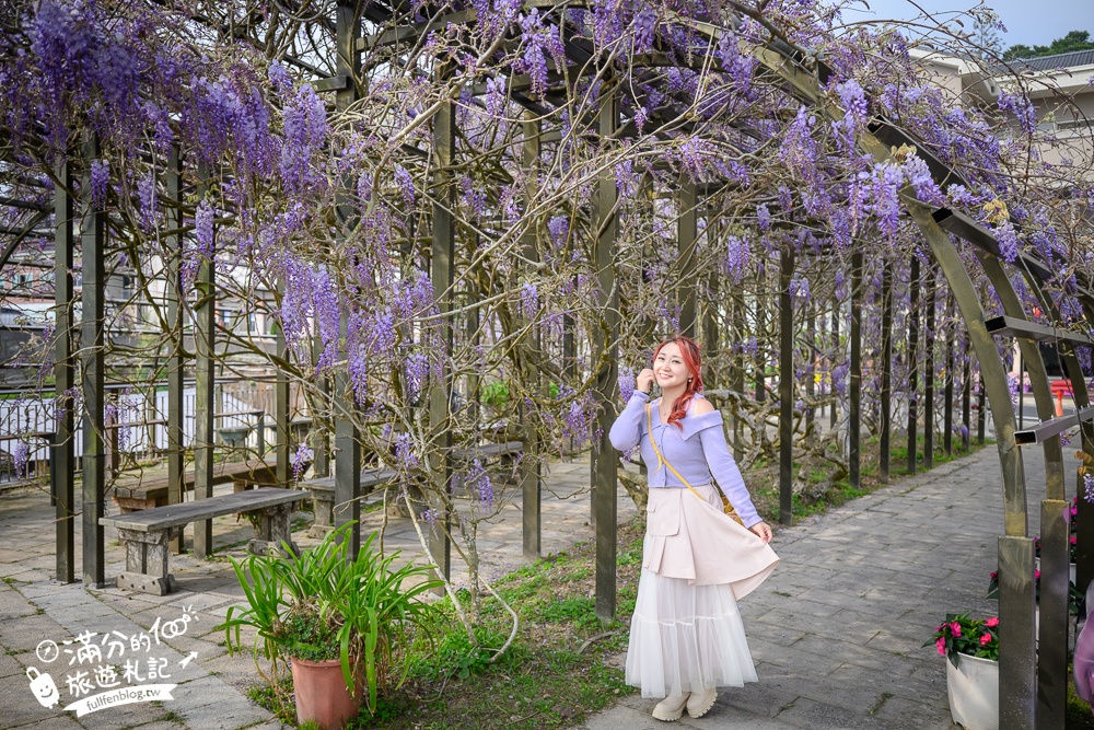 嘉義紫藤花推薦｜瑞里茶壺民宿紫藤花(免門票)紫藤隧道超夢幻~背景還是壯麗群山!