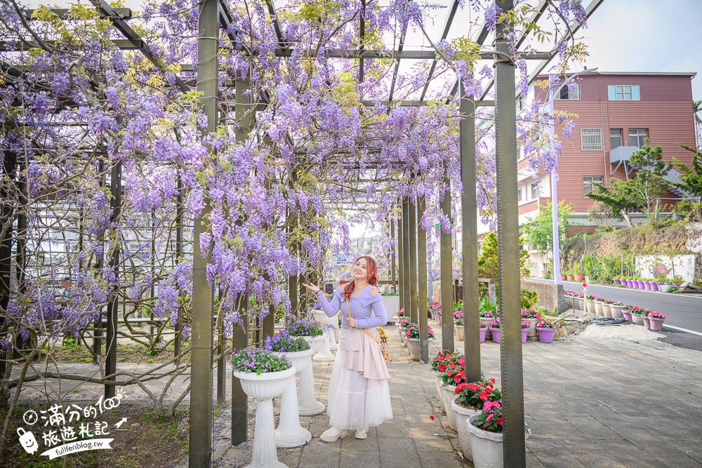 嘉義紫藤花推薦｜瑞里茶壺民宿紫藤花(免門票)紫藤隧道超夢幻~背景還是壯麗群山!
