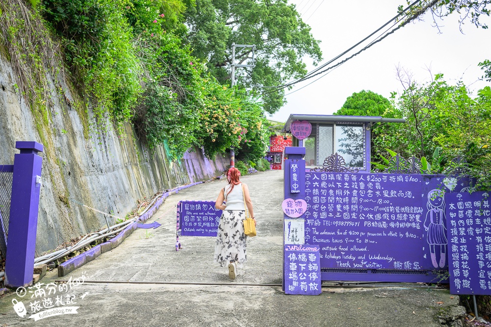 苗栗【噢哈娜咖啡屋】2025最新門票&菜單資訊,苗栗最美紫色莊園.必拍紫色傘海和波波球~西湖最強大的紫色王國!