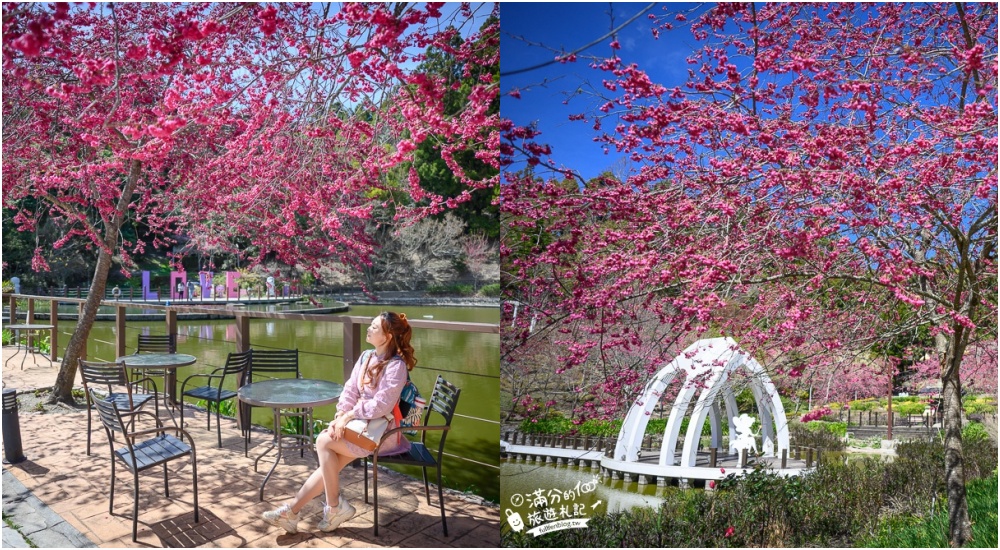 南投景點【清境小瑞士花園】2025門票資訊.拍OPEN醬,看水舞秀,清境愛情故事館周邊景點攻略~南投最美彩虹傘小鎮! @滿分的旅遊札記