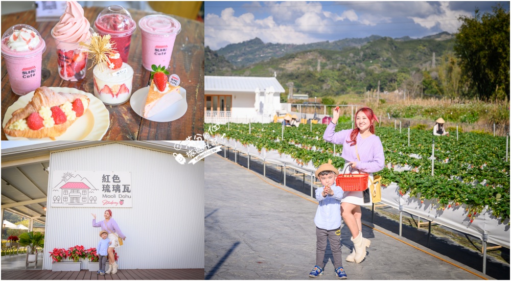 苗栗大湖【紅色琉璃瓦草莓園】免門票網美系高架草莓園.採紅寶石大草莓,還能喝咖啡下午茶! @滿分的旅遊札記