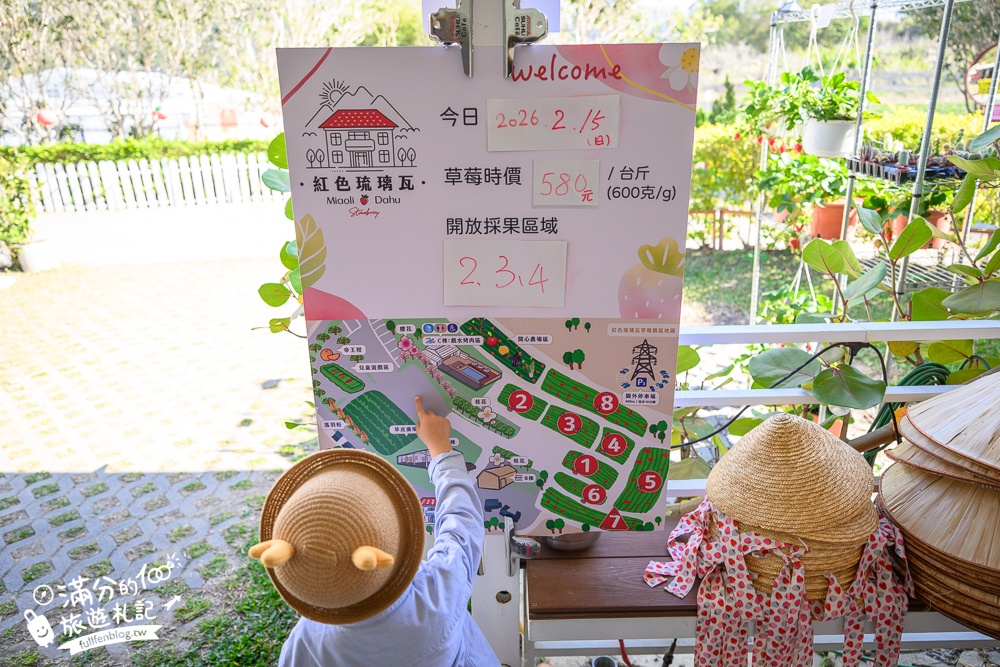 苗栗大湖【紅色琉璃瓦草莓園】免門票網美系高架草莓園.採紅寶石大草莓,還能喝咖啡下午茶!