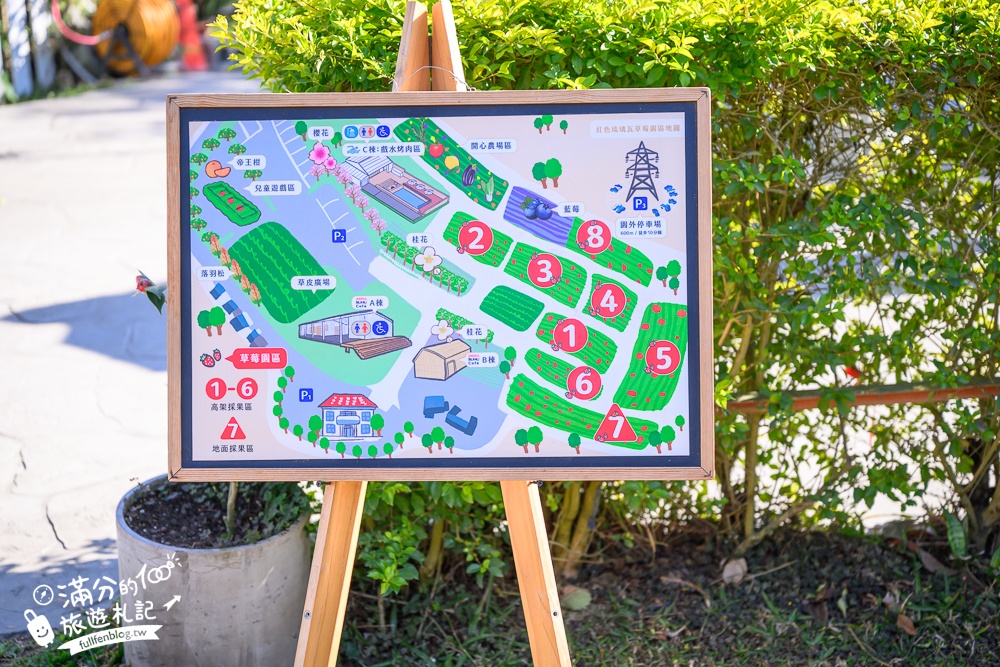 苗栗大湖【紅色琉璃瓦草莓園】免門票網美系高架草莓園.採紅寶石大草莓,還能喝咖啡下午茶!