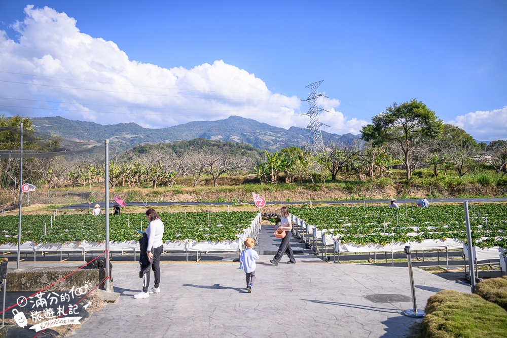 苗栗大湖【紅色琉璃瓦草莓園】免門票網美系高架草莓園.採紅寶石大草莓,還能喝咖啡下午茶!
