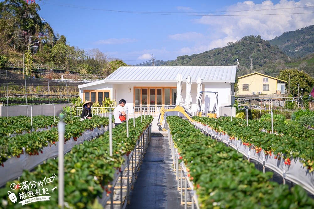 苗栗大湖【紅色琉璃瓦草莓園】免門票網美系高架草莓園.採紅寶石大草莓,還能喝咖啡下午茶!