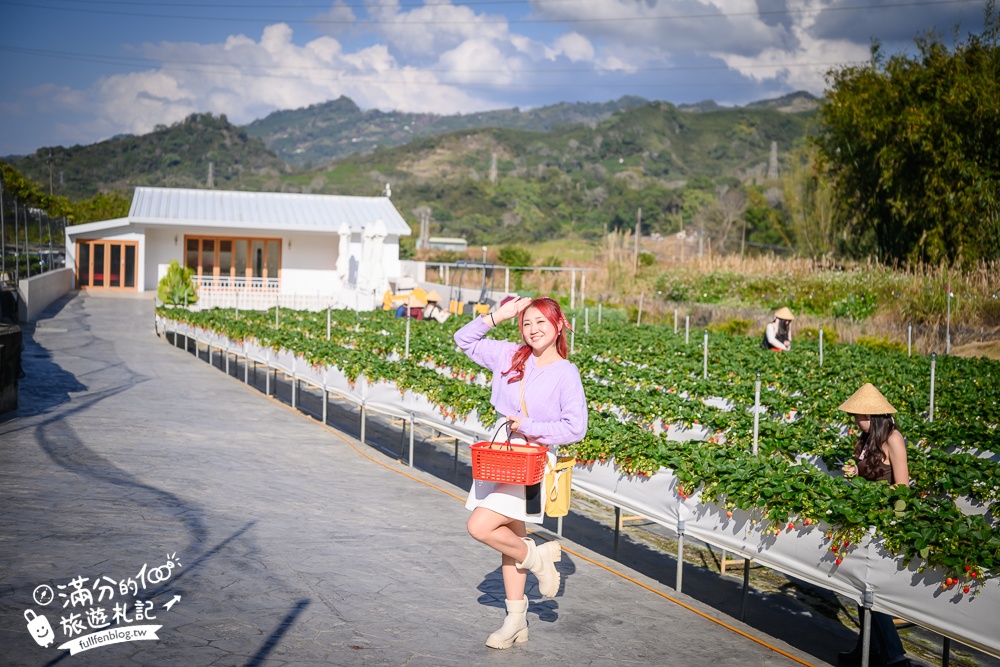 苗栗大湖【紅色琉璃瓦草莓園】免門票網美系高架草莓園.採紅寶石大草莓,還能喝咖啡下午茶!