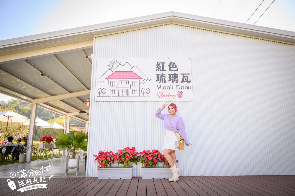 苗栗大湖【紅色琉璃瓦草莓園】免門票網美系高架草莓園.採紅寶石大草莓,還能喝咖啡下午茶!
