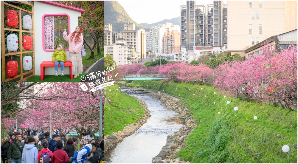 【2025全台櫻花景點懶人包】TOP35從北到南賞櫻秘境,各縣市櫻花開花情報.交通&門票資訊,一起來當可愛櫻花妹!