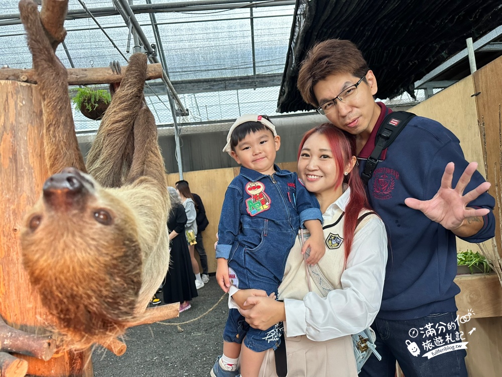 【樹懶餐廳】原張美阿嬤農場2.0版.根本是三星鄉迷你動物園,最新萌寵高地牛登場.還能近距離與樹懶互動超特別！