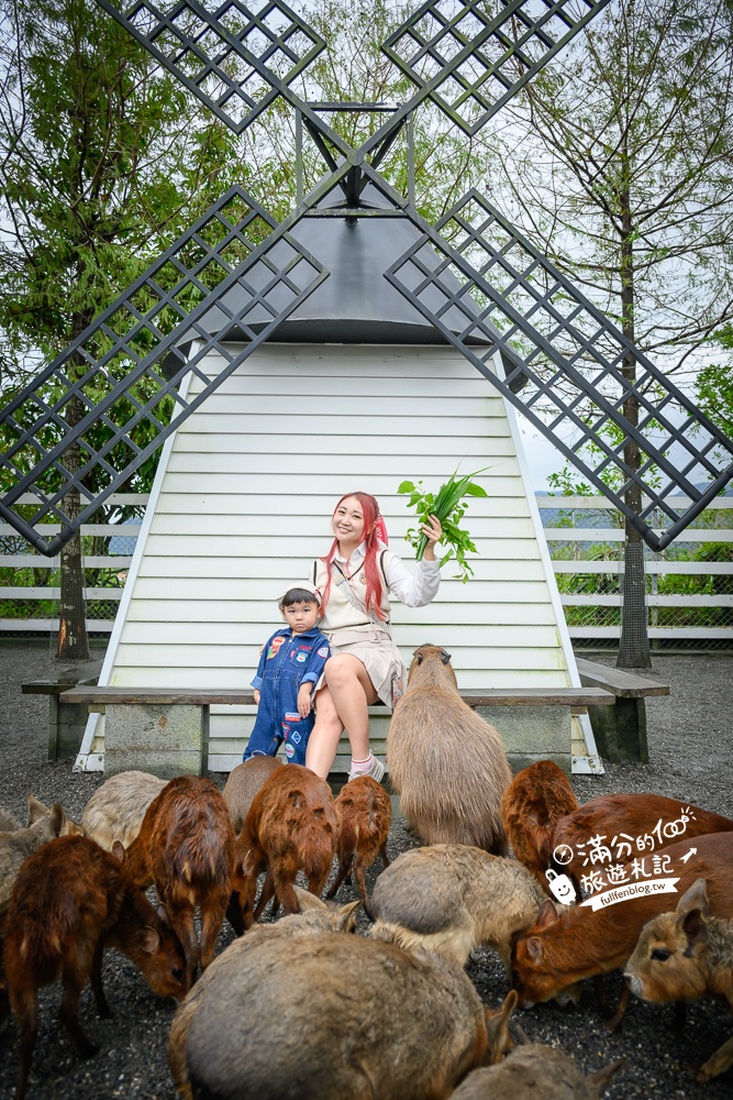 【樹懶餐廳】原張美阿嬤農場2.0版.根本是三星鄉迷你動物園,最新萌寵高地牛登場.還能近距離與樹懶互動超特別！