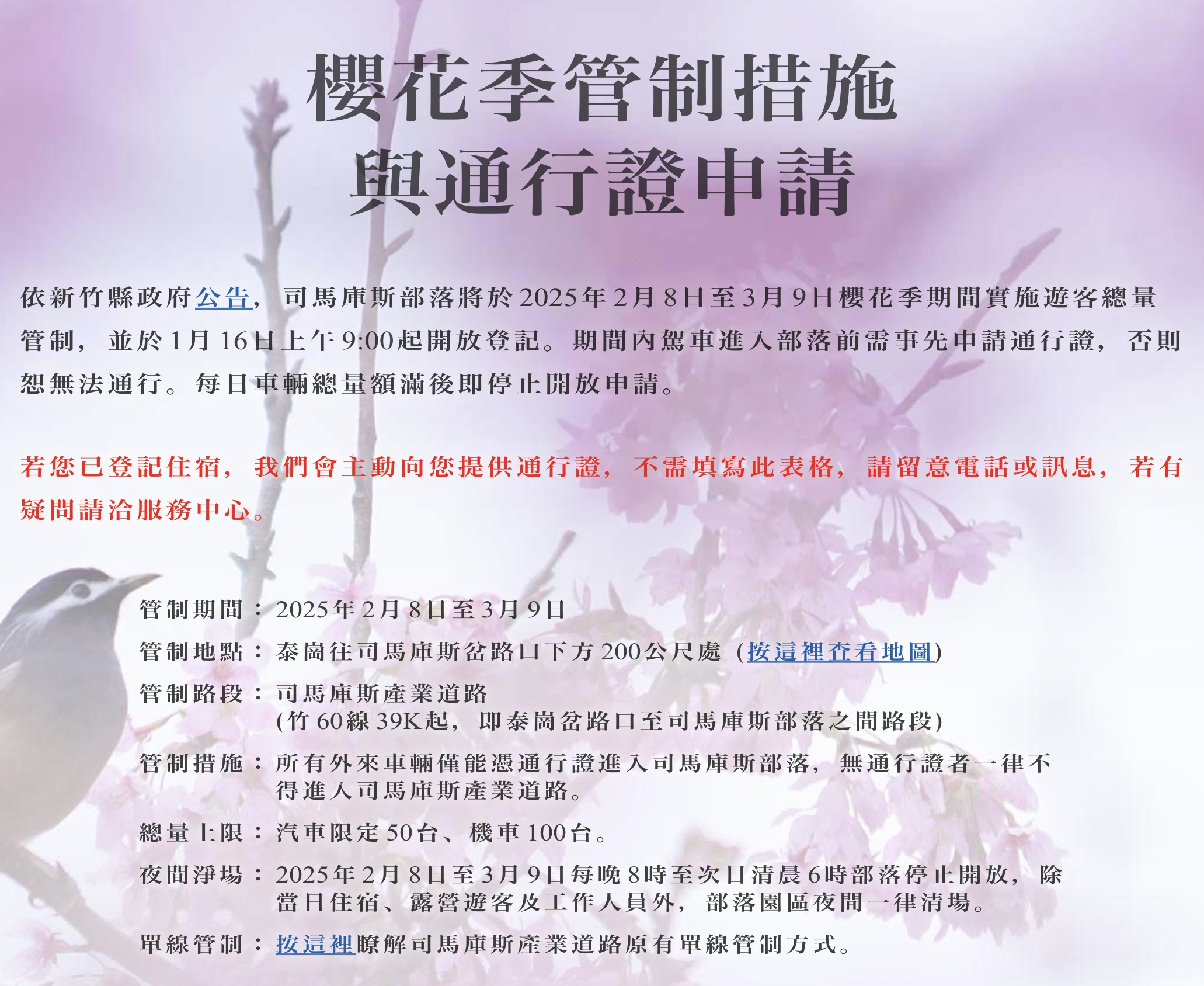 【2025司馬庫斯櫻花季】交通方式.櫻花季通行證預約資訊.巨木登山口,上帝的部落,海拔1500公尺的櫻花步道!