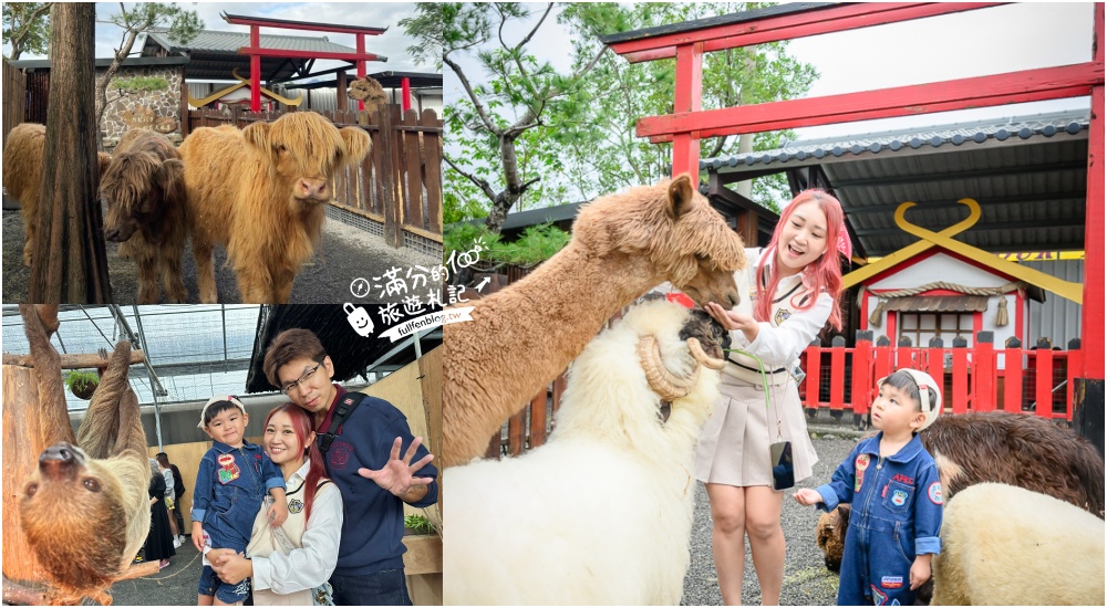 【樹懶餐廳】原張美阿嬤農場2.0版.根本是三星鄉迷你動物園,最新萌寵高地牛登場.還能近距離與樹懶互動超特別！ @滿分的旅遊札記