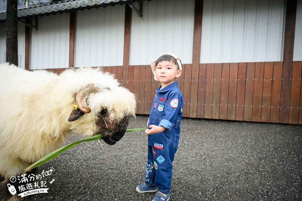 【樹懶餐廳】原張美阿嬤農場2.0版.根本是三星鄉迷你動物園,最新萌寵高地牛登場.還能近距離與樹懶互動超特別！