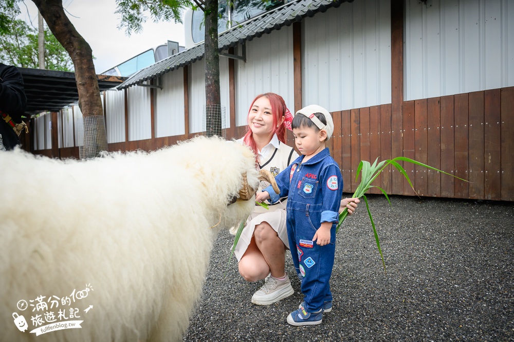 【樹懶餐廳】原張美阿嬤農場2.0版.根本是三星鄉迷你動物園,最新萌寵高地牛登場.還能近距離與樹懶互動超特別！
