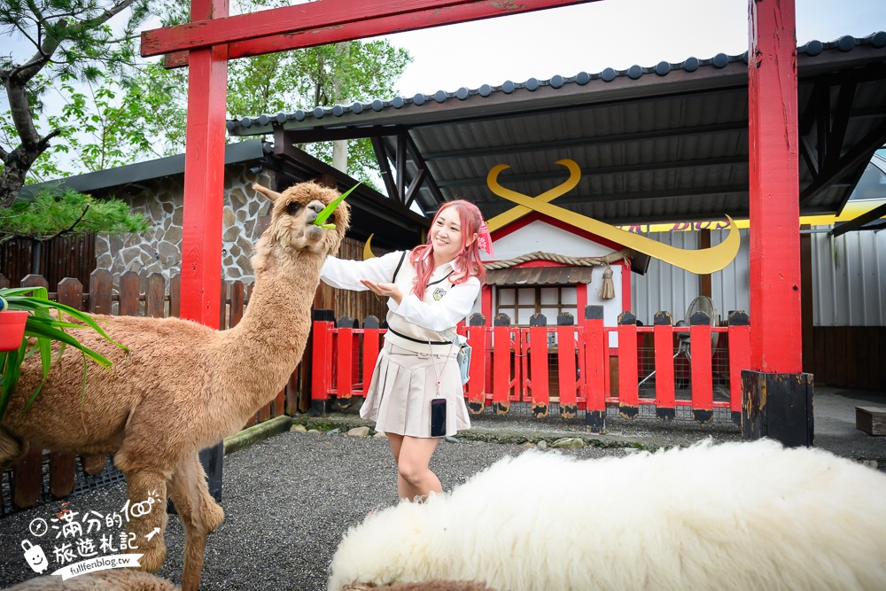 【樹懶餐廳】原張美阿嬤農場2.0版.根本是三星鄉迷你動物園,最新萌寵高地牛登場.還能近距離與樹懶互動超特別！