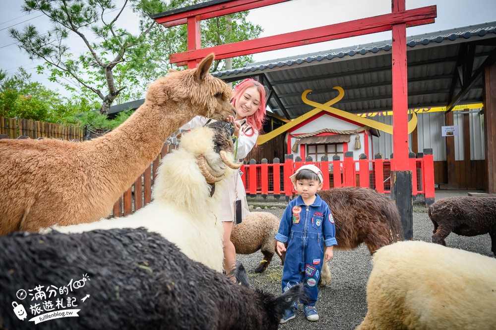 【樹懶餐廳】原張美阿嬤農場2.0版.根本是三星鄉迷你動物園,最新萌寵高地牛登場.還能近距離與樹懶互動超特別！