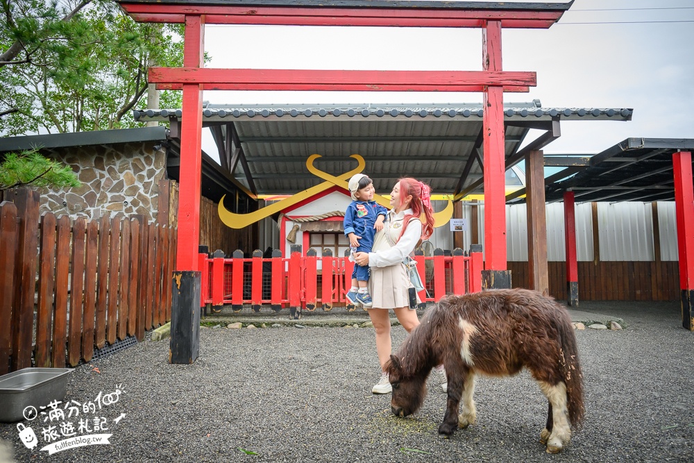 【樹懶餐廳】原張美阿嬤農場2.0版.根本是三星鄉迷你動物園,最新萌寵高地牛登場.還能近距離與樹懶互動超特別！