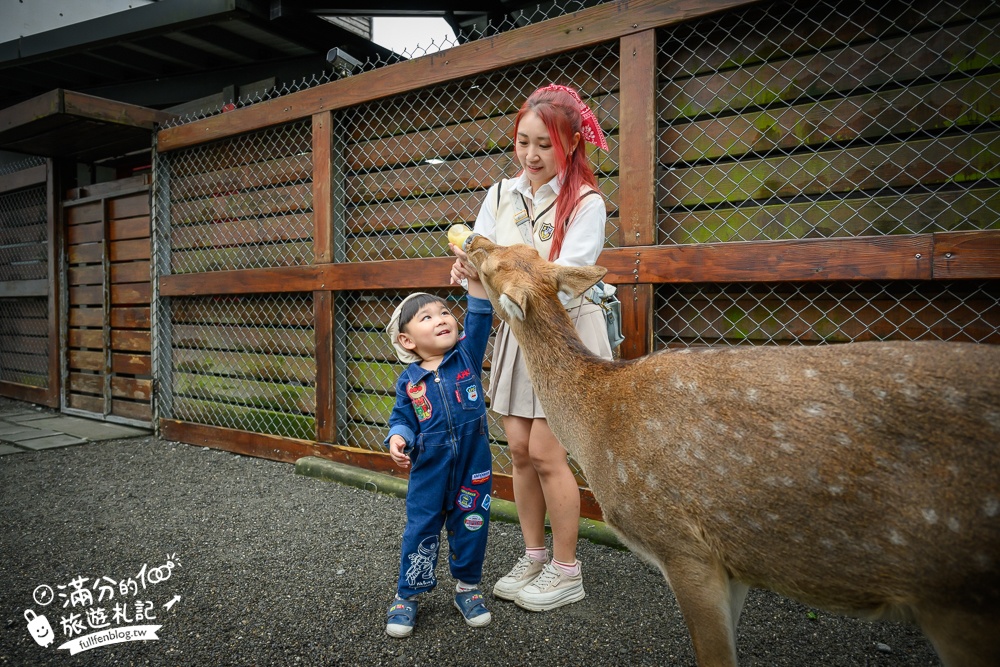 【樹懶餐廳】原張美阿嬤農場2.0版.根本是三星鄉迷你動物園,最新萌寵高地牛登場.還能近距離與樹懶互動超特別！