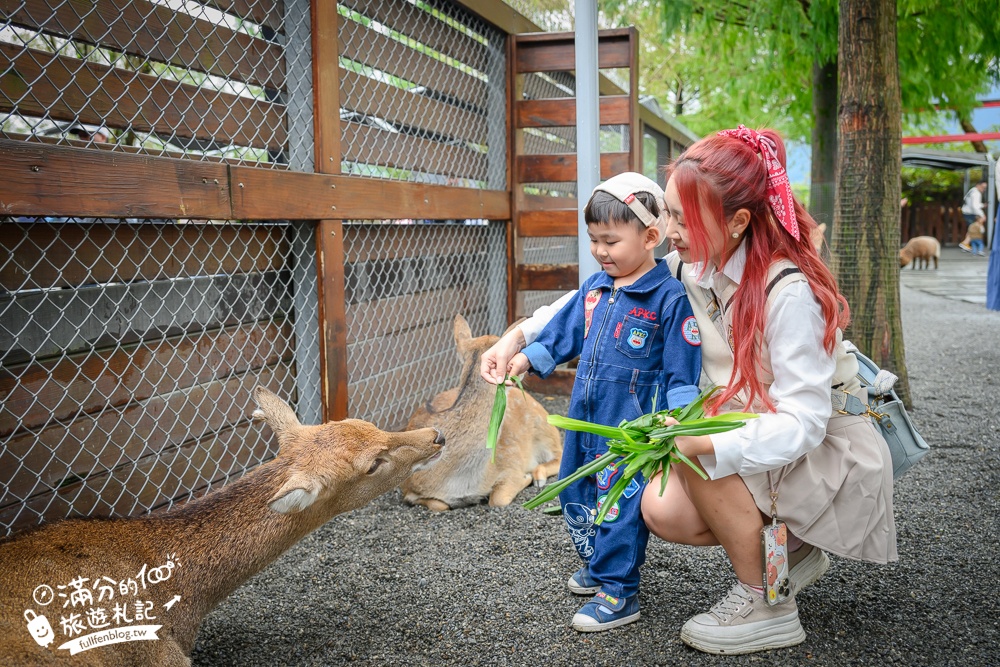 【樹懶餐廳】原張美阿嬤農場2.0版.根本是三星鄉迷你動物園,最新萌寵高地牛登場.還能近距離與樹懶互動超特別！