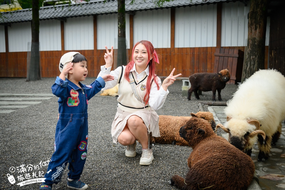 【樹懶餐廳】原張美阿嬤農場2.0版.根本是三星鄉迷你動物園,最新萌寵高地牛登場.還能近距離與樹懶互動超特別！