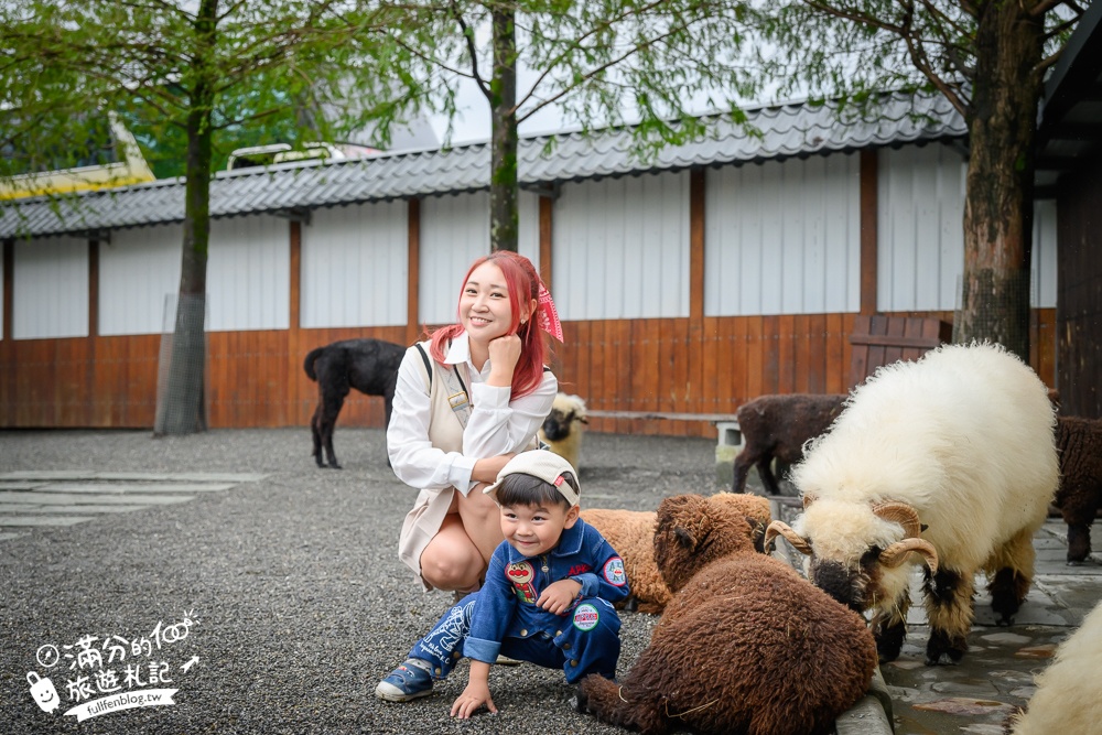 【樹懶餐廳】原張美阿嬤農場2.0版.根本是三星鄉迷你動物園,最新萌寵高地牛登場.還能近距離與樹懶互動超特別！