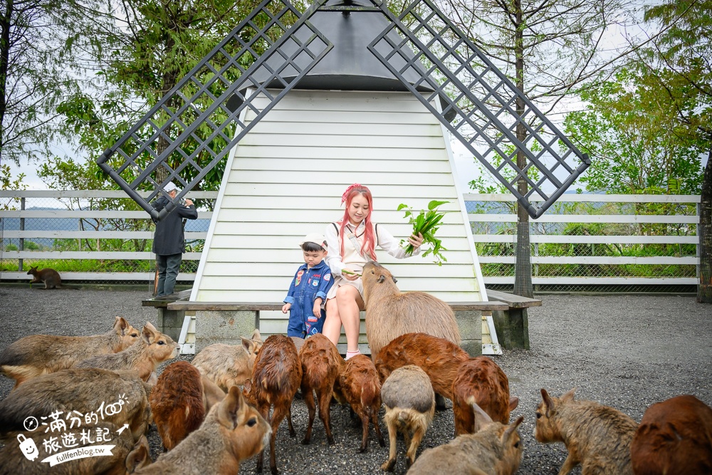 【樹懶餐廳】原張美阿嬤農場2.0版.根本是三星鄉迷你動物園,最新萌寵高地牛登場.還能近距離與樹懶互動超特別！