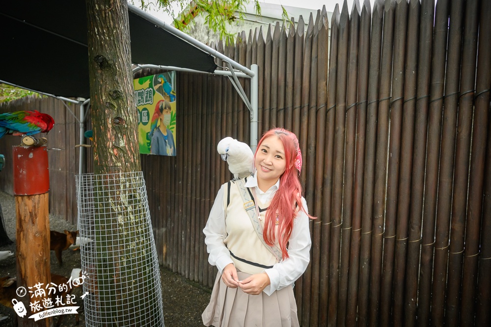 【樹懶餐廳】原張美阿嬤農場2.0版.根本是三星鄉迷你動物園,最新萌寵高地牛登場.還能近距離與樹懶互動超特別！