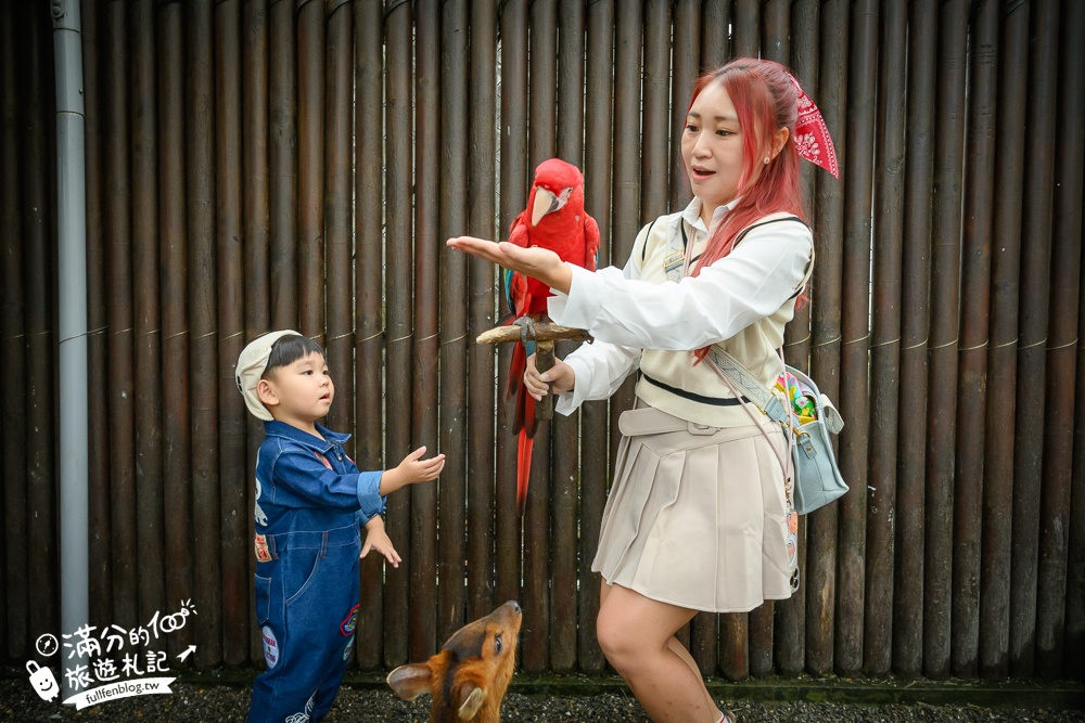 【樹懶餐廳】原張美阿嬤農場2.0版.根本是三星鄉迷你動物園,最新萌寵高地牛登場.還能近距離與樹懶互動超特別！