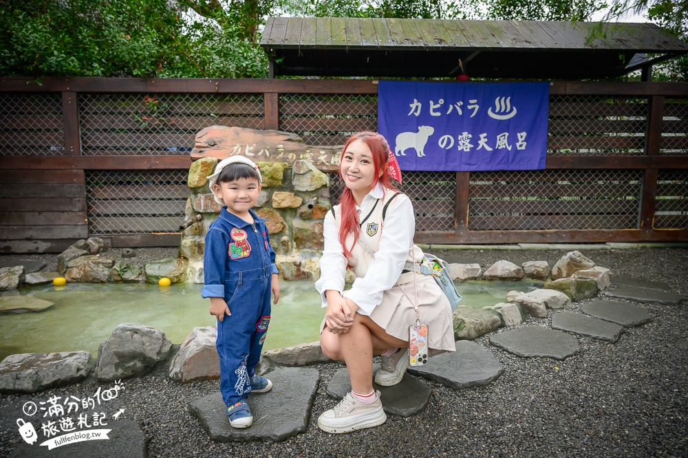 【樹懶餐廳】原張美阿嬤農場2.0版.根本是三星鄉迷你動物園,最新萌寵高地牛登場.還能近距離與樹懶互動超特別！