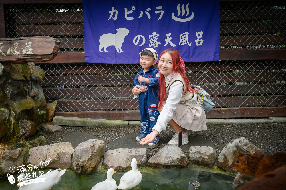 【樹懶餐廳】原張美阿嬤農場2.0版.根本是三星鄉迷你動物園,最新萌寵高地牛登場.還能近距離與樹懶互動超特別！