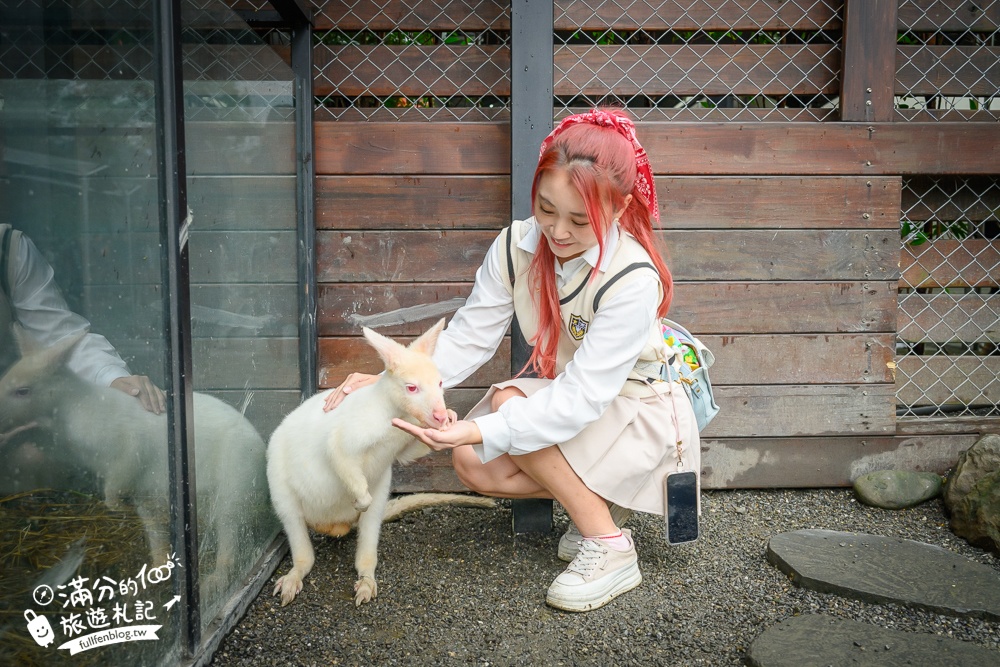 【樹懶餐廳】原張美阿嬤農場2.0版.根本是三星鄉迷你動物園,最新萌寵高地牛登場.還能近距離與樹懶互動超特別！