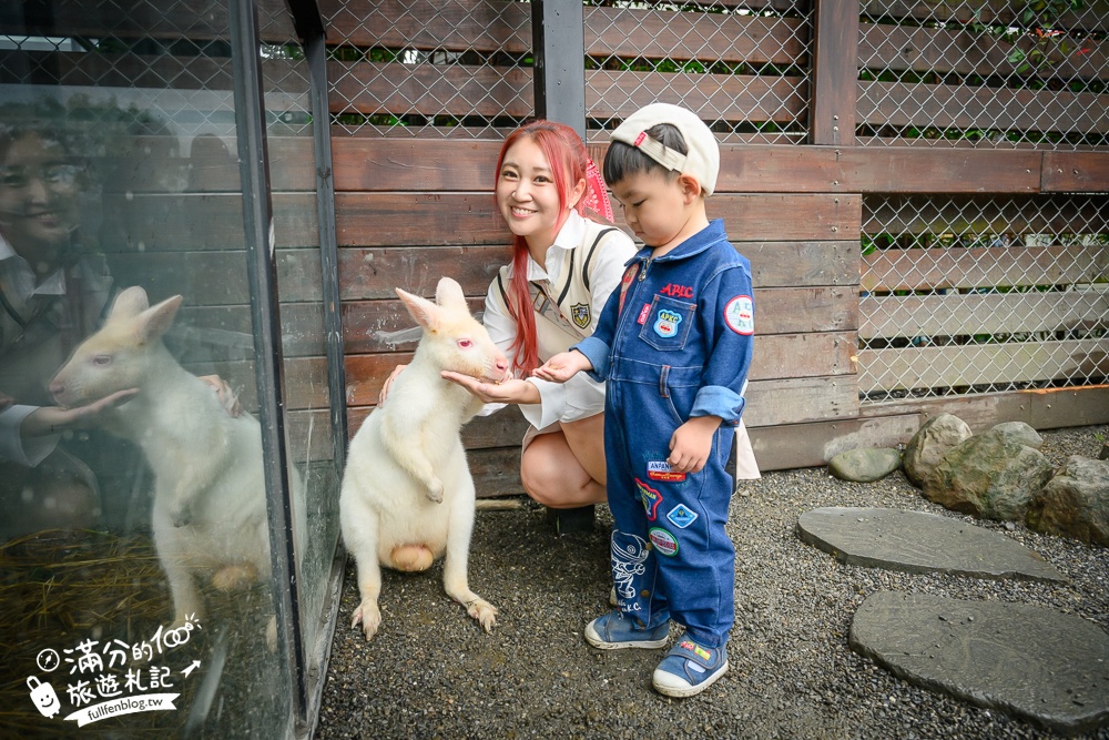 【樹懶餐廳】原張美阿嬤農場2.0版.根本是三星鄉迷你動物園,最新萌寵高地牛登場.還能近距離與樹懶互動超特別！