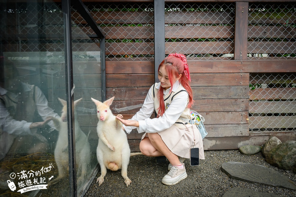 【樹懶餐廳】原張美阿嬤農場2.0版.根本是三星鄉迷你動物園,最新萌寵高地牛登場.還能近距離與樹懶互動超特別！