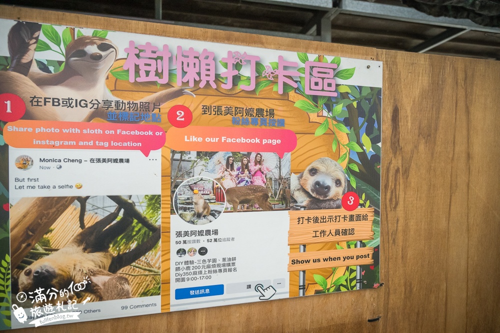 【樹懶餐廳】原張美阿嬤農場2.0版.根本是三星鄉迷你動物園,最新萌寵高地牛登場.還能近距離與樹懶互動超特別！