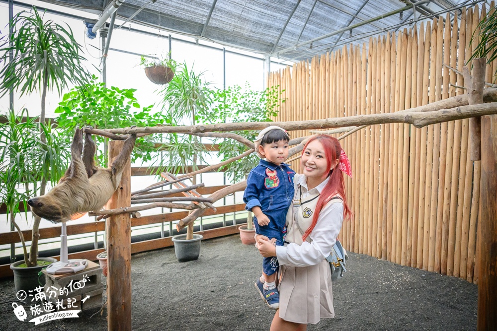 【樹懶餐廳】原張美阿嬤農場2.0版.根本是三星鄉迷你動物園,最新萌寵高地牛登場.還能近距離與樹懶互動超特別！