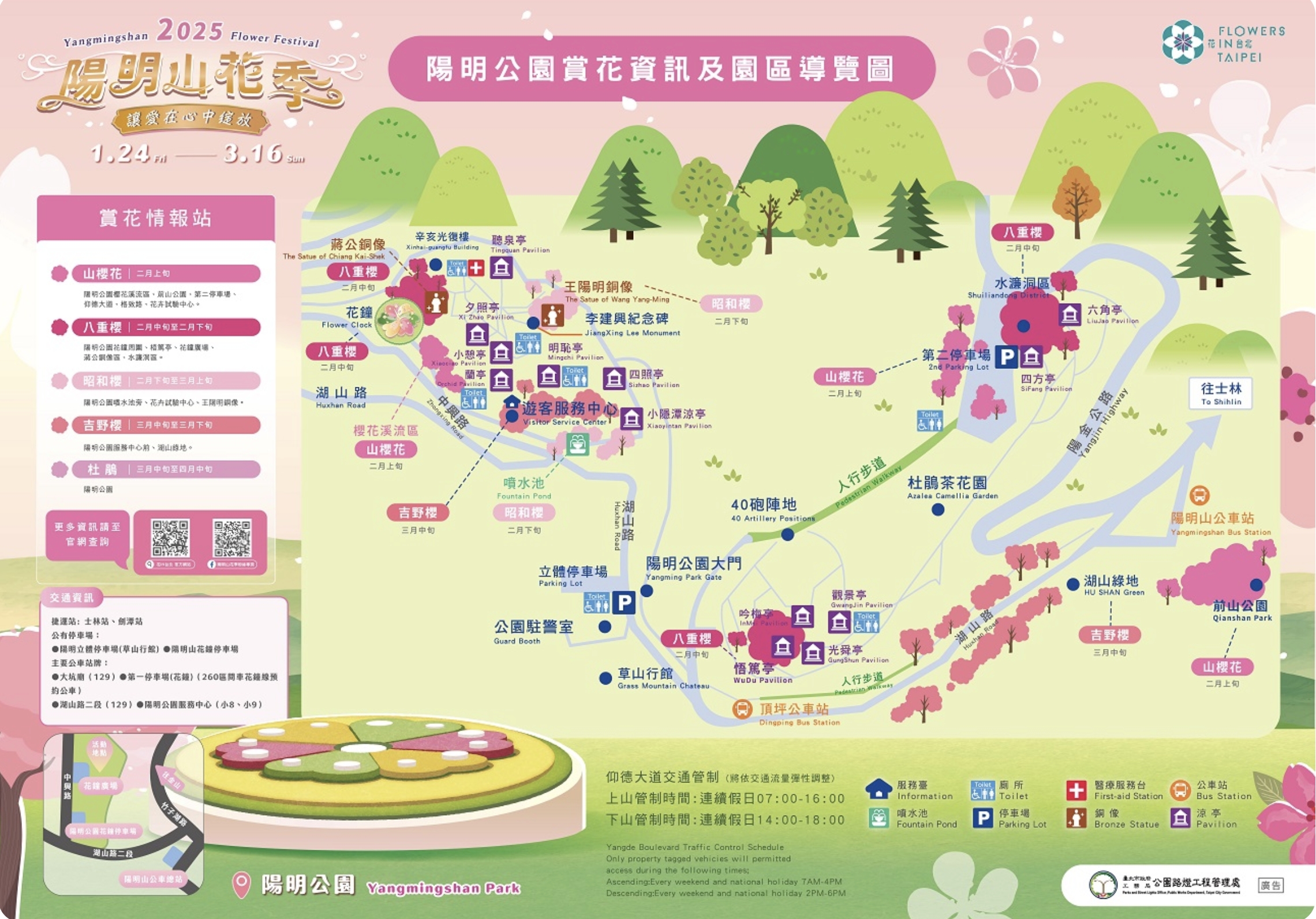 【2025陽明山櫻花季】最新活動資訊.交通方式.櫻花花況,台北最美櫻花園,粉櫻水舞秀好精彩,順遊景點美食攻略!