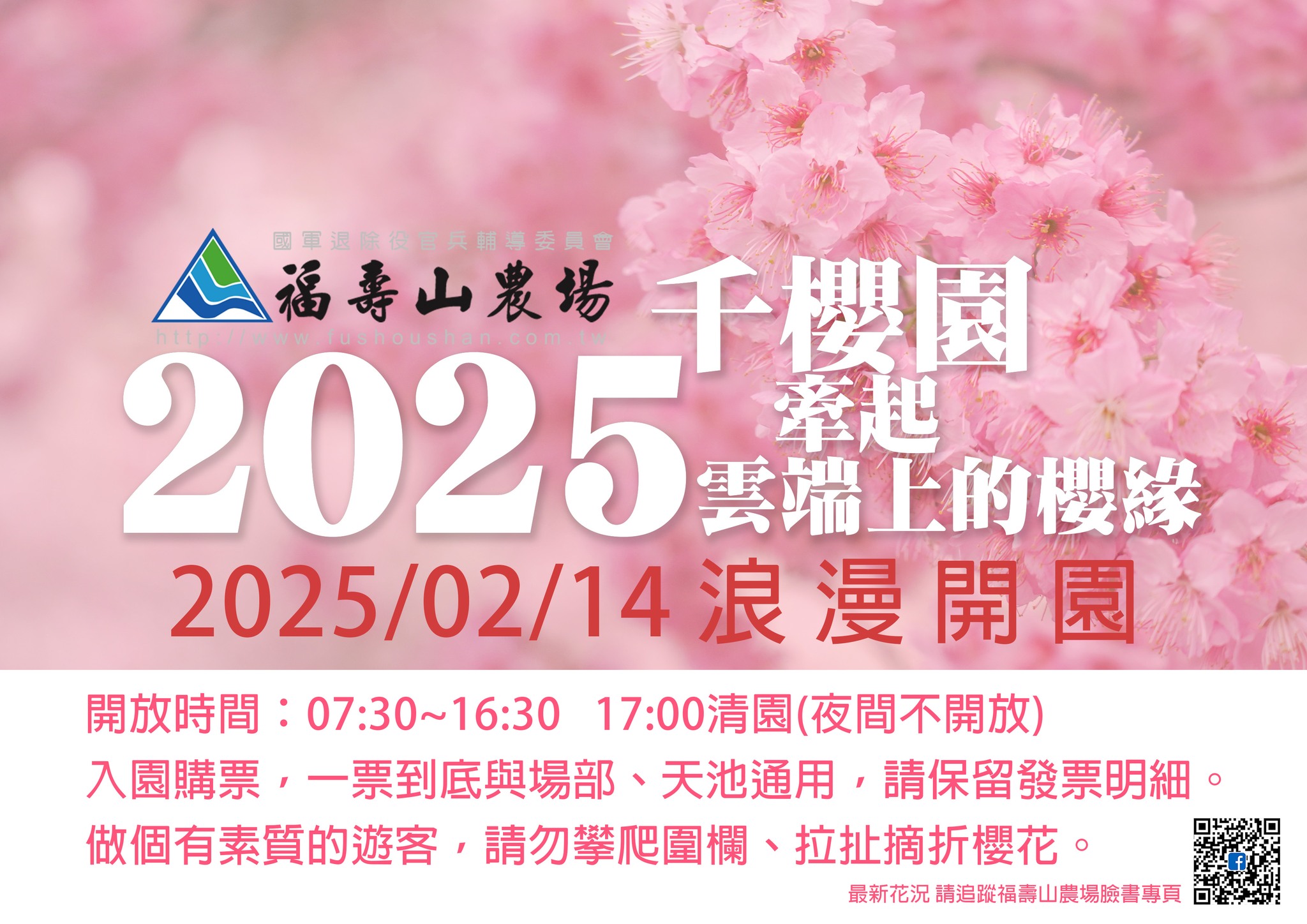 【2025千櫻園櫻花季】最新開園時間公開,福壽山櫻花秘境.海拔2100公尺的櫻花森林,順遊景點美食攻略!