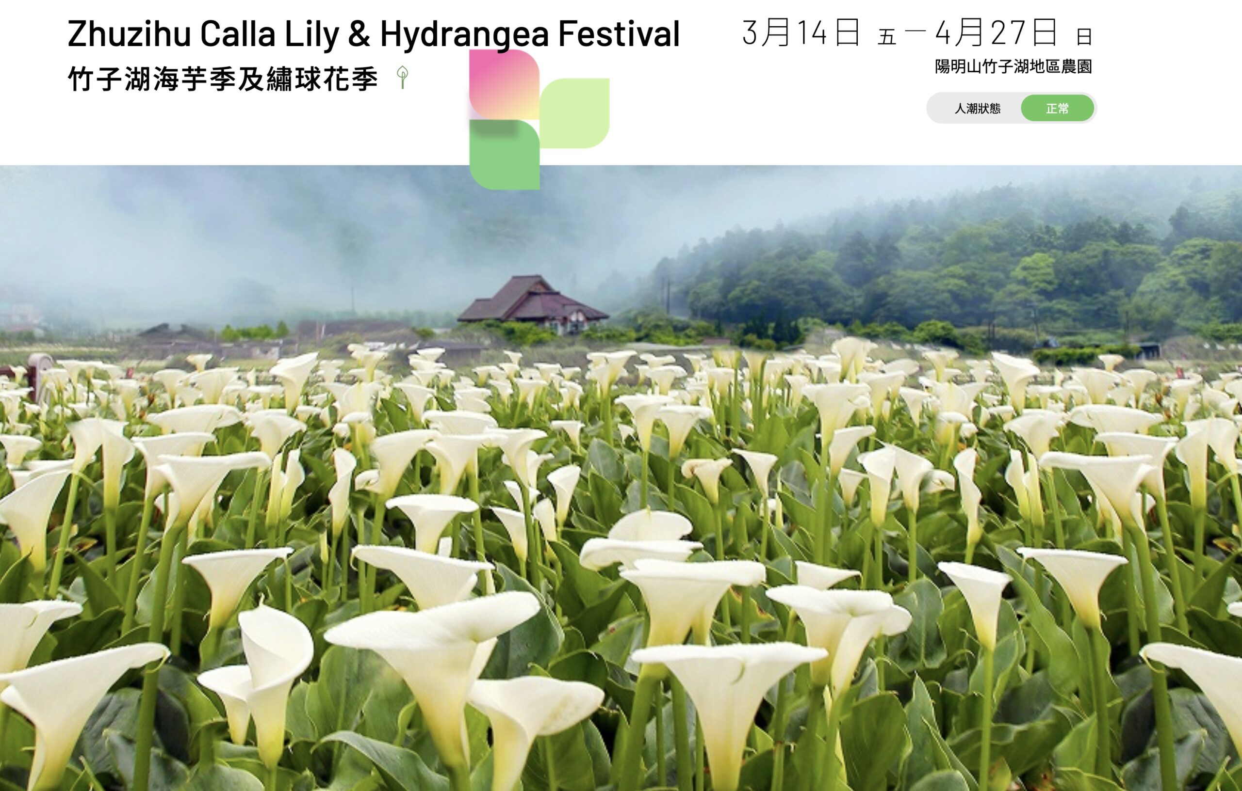 【2025陽明山海芋季一日遊】最新海芋花季活動資訊.TOP10個陽明山海芋景點美食攻略,季節限定浪漫的白色花海!