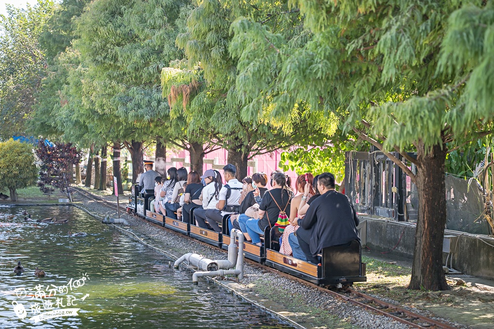 雲林崙背【千巧谷牛樂園牧場】雲林免門票伴手禮景點.搭蒸汽火車.餵牛體驗.古錐萌牛公牛超好拍! 雲林崙背【千巧谷牛樂園牧場】雲林免門票伴手禮景點.搭蒸汽火車.餵牛體驗.古錐萌牛公牛超好拍!