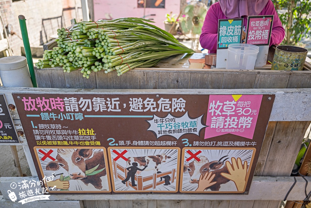 雲林崙背【千巧谷牛樂園牧場】雲林免門票伴手禮景點.搭蒸汽火車.餵牛體驗.古錐萌牛公牛超好拍! 雲林崙背【千巧谷牛樂園牧場】雲林免門票伴手禮景點.搭蒸汽火車.餵牛體驗.古錐萌牛公牛超好拍!