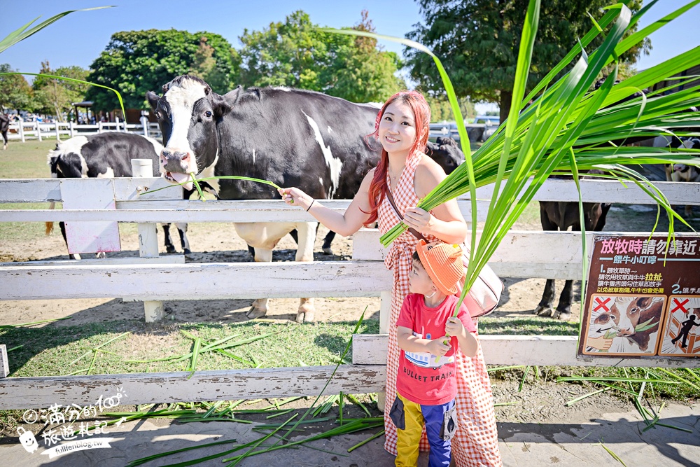 雲林崙背【千巧谷牛樂園牧場】雲林免門票伴手禮景點.搭蒸汽火車.餵牛體驗.古錐萌牛公牛超好拍! 雲林崙背【千巧谷牛樂園牧場】雲林免門票伴手禮景點.搭蒸汽火車.餵牛體驗.古錐萌牛公牛超好拍!
