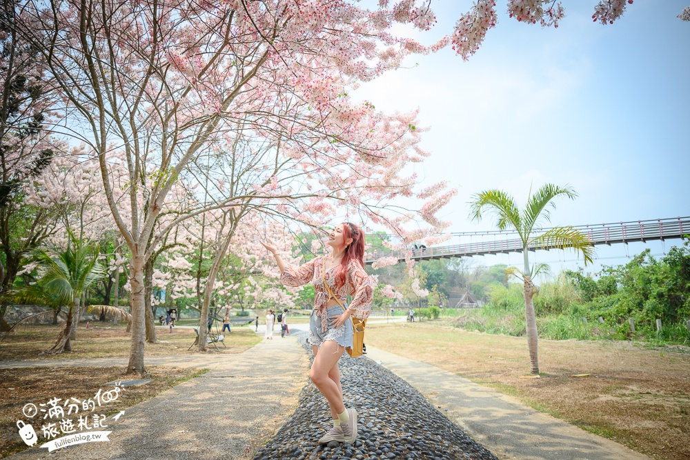 【2025嘉義竹崎公園花旗木】免門票花旗木賞花秘境,夢幻粉紅世界!