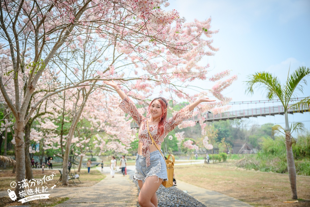 【2025嘉義竹崎公園花旗木】免門票花旗木賞花秘境,夢幻粉紅世界!